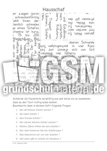 Hausschaf.pdf